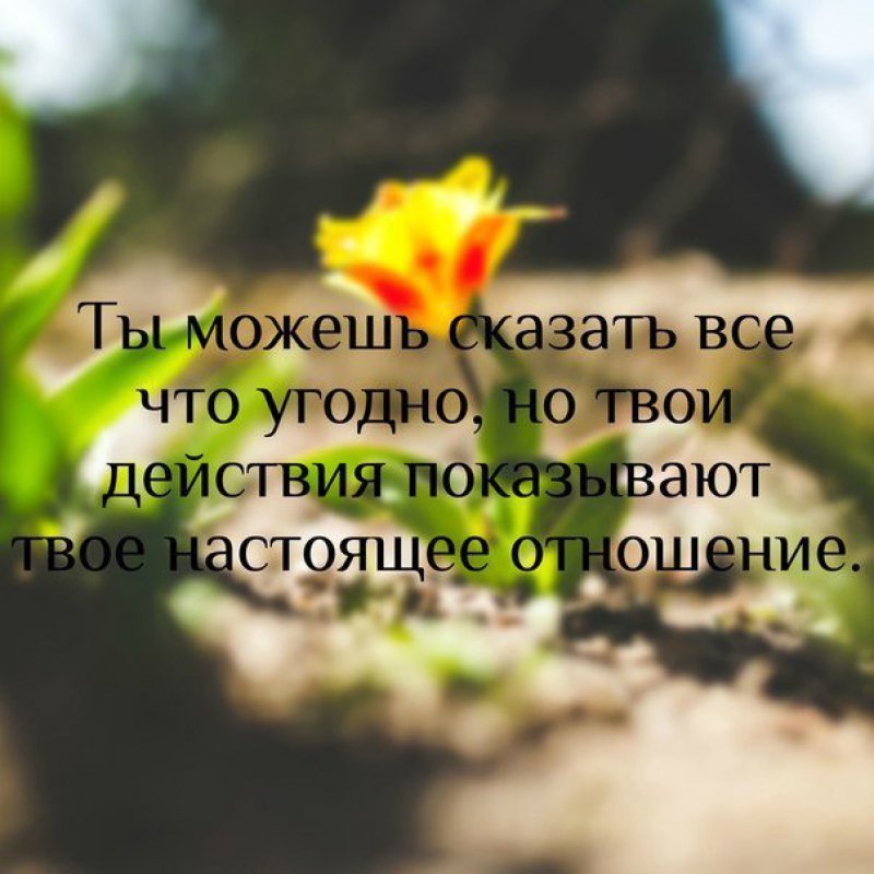 Имеет значение только то что ты делаешь а говорить можно все что угодно картинки