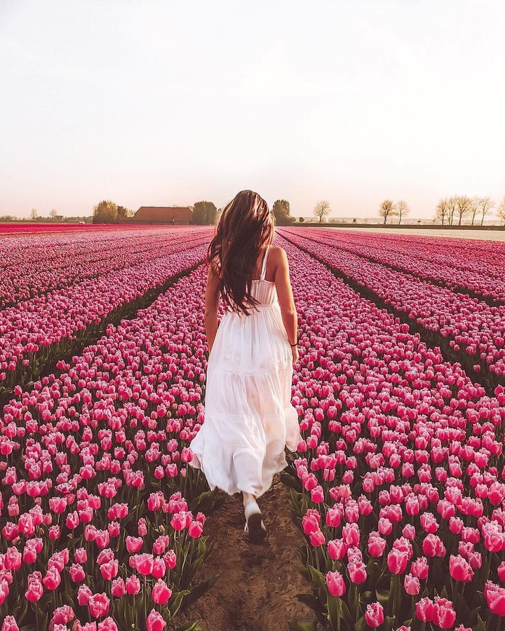 Девушка с тюльпанами фото со спины